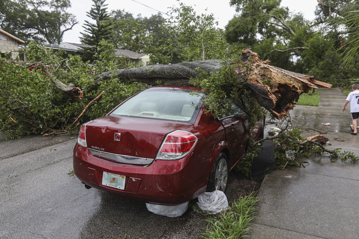 Emergency storm tree removal in Erie, PA