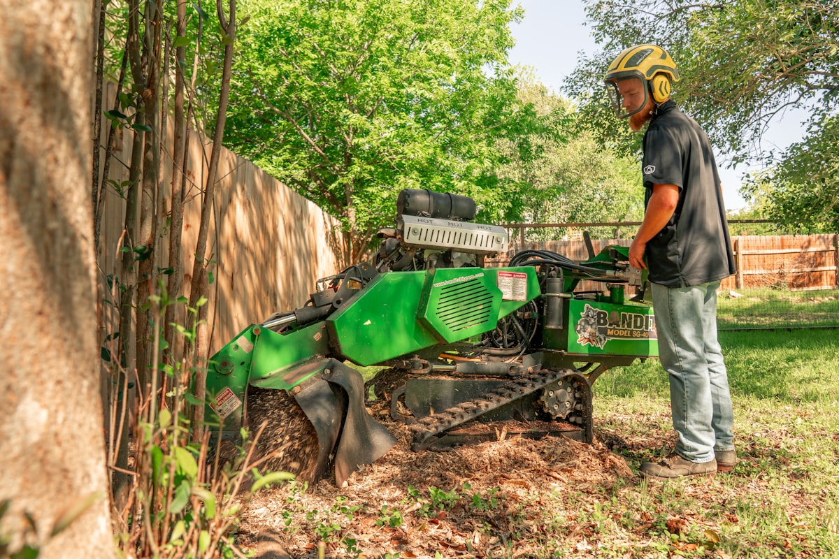 Stump grinding in Erie, PA